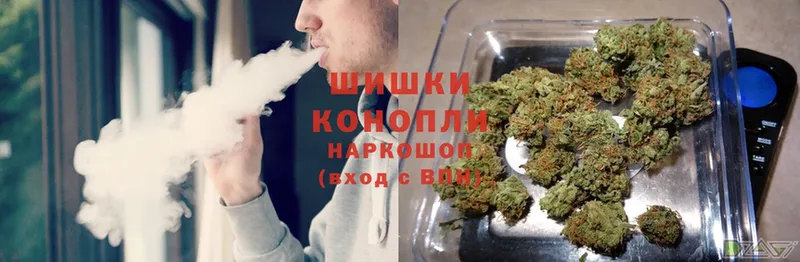 Бошки Шишки THC 21%  как найти наркотики  Заинск 